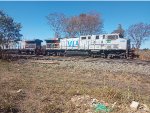 VLI 6036